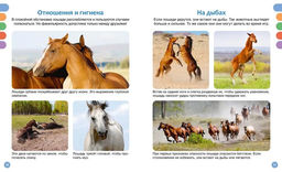 Лошади. Гийоре М.-Р. - Махаон фото 4