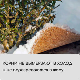 Круг приствольный, d=0.75 м, из кокосового полотна, набор 5 шт., «Мульчаграм»