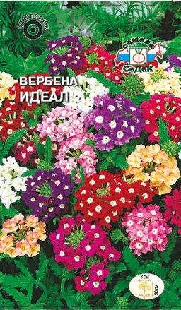 Вербена Идеал (смесь) 0,1г (СеДеК)