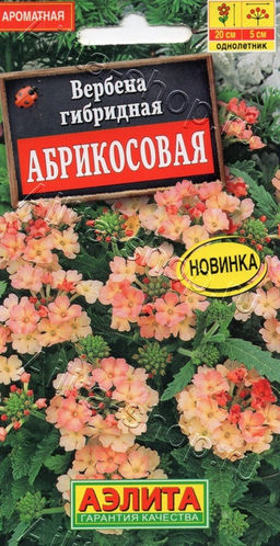 Вербена Абрикосовая 10шт. (Аэлита)