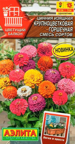 Цинния Крупноцветковая горшечная (смесь сортов) 12шт. (Аэлита)