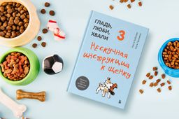Гладь, люби, хвали 3. Нескучная инструкция к щенку