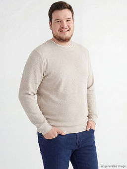 Bisiklet Yaka Uzun Kollu Erkek Ti??rt