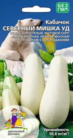 Кабачок СЕВЕРНЫЙ МИШКА УД  Ох и вкусная икра из этого кабачка!