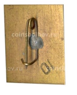 Значок Н.И.Кибальчич