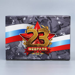 Цена за 2 шт. Коробка подарочная сборная, упаковка, 23 февраля, 22?15?10 см