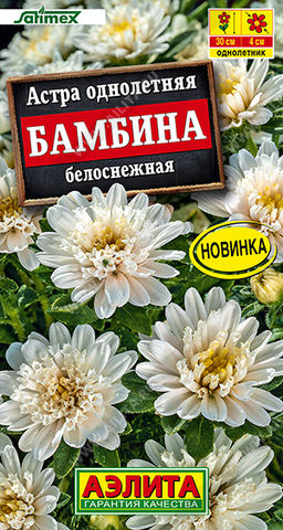 Астра Бамбина белоснежная