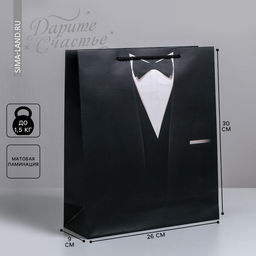 Цена за 2 шт. Пакет подарочный ламинированный, упаковка, «Стиль», M 25.5 х 30 х 9 см