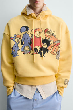 PETER PAN LOST BOYS HOODIE HARRY LAMBERT FOR ZARA X DISNEY фото 5