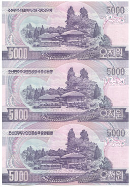 5000 вон 2006 года Северная Корея  Лист из трех банкнот