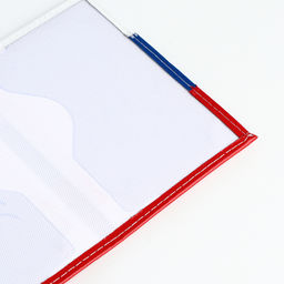 Обложка для паспорта, триколор