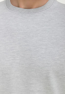 Свитшот мужской GREG G121-OZ02-28 (св.серый м.)  фото 5