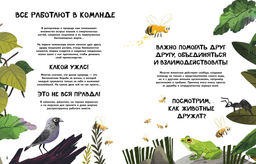 Вместе лучше! Командная работа в мире животных. Tecnoscienza . - Махаон фото 3