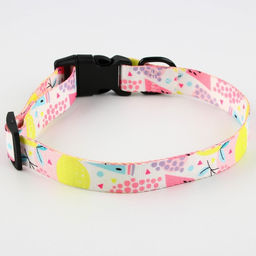 Ошейник Сочное настроение, застёжка - фастекс, 2.5 см, 40-55 см - Пушистое счастье фото 6