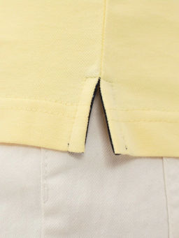 Джемпер мужской с воротником поло короткий рукав GREG G144-PO1246T-SA0048 (лимон)  фото 3