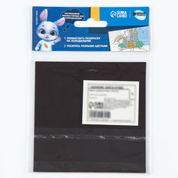 Цена за 2 шт. Магнит-раскраска «Корги», 10 × 10 см