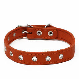 Ошейник кожаный однослойный, безразмерный, 56 х 2,5 см, ОШ 17-44 см, оранжевый