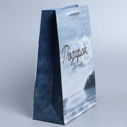 Цена за 2 шт. Пакет подарочный ламинированный, упаковка, Present for you, ML 21?25?8 см