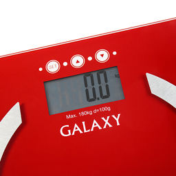 Весы-анализаторы многофункциональные GALAXY GL4851  фото 4