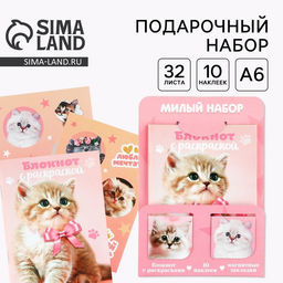 Цена за 2 шт. Набор блокнот А6, 32 листа, наклейки, магнитные закладки «Милый котенок»