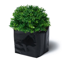 Цена за 100 шт. Пакет для рассады, 300 мл, 13×7 см, полиэтилен, толщина 50 мкм, с перфорацией, чёрный, Greengo