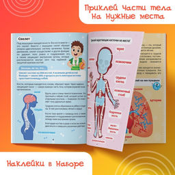 Цена за 2 шт. Наклейки «Как устроено моё тело», 16 стр.