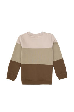 Erkek _ocuk Haki Basic Bisiklet Yaka Sweatshirt - U.s. polo assn фото 3