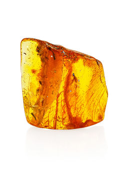 Небольшой кусочек янтаря с инклюзом мушкой