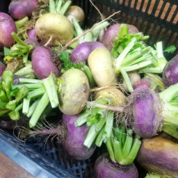 Репа Русская