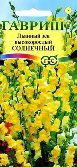 Солнечный львиный зев 80см 0,1гр (г)