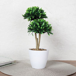 Цветочная композиция Зелень самшит 29 см / 9090-10 /уп 9/72/ - Галеонтрейд фото 9