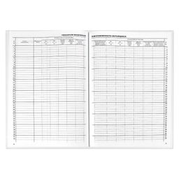 Классный журнал 1-4 класс арт. 5191 - Феникс+ фото 3