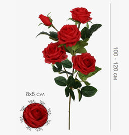 Букет высоких Роз 5 голов, высота 110-120см