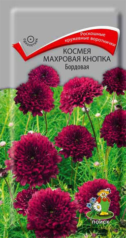 Космея Махровая кнопка бордовая 0,1г (Поиск)