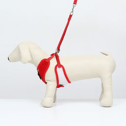 Комплект с мягкой шлейкой и бантиком, размер L, поводок 120 x 1,5 см, ОГ 35-50 см, красный - Пижон фото 2