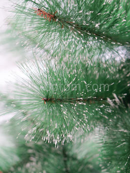 Сосна пушистая с инеем и шишками сборная 150 см - Ип лебедев о.ю фото 3