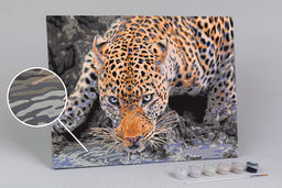 ФРЕЯ PNB/PMC-193 Набор для раскрашивания по номерам ( цветной холст ) 40 х 30 см Взгляд хищника