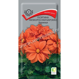 Георгина низкорослая Барокко оранжевая 0,1г (Поиск)