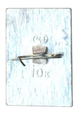 Значок Дубна