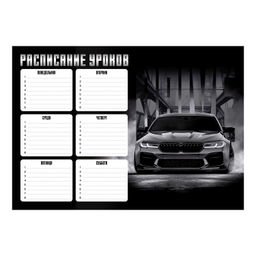 Цена за 5 шт. Расписание уроков А4, арт. 72598/ 50 ДРАЙВ (210x297 мм, материал: мелованный картон 235 г/м?, полноц