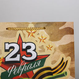 Цена за 2 шт. Пакет подарочный ламинированный, упаковка, «С 23 февраля», ML 25×21×8 см