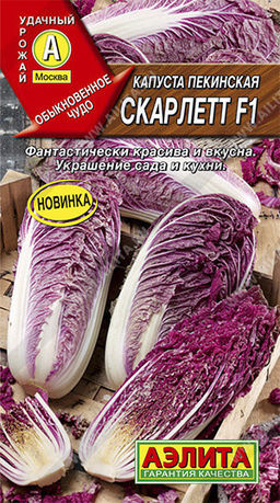 0497A Капуста Пекинская Скарлетт 5шт