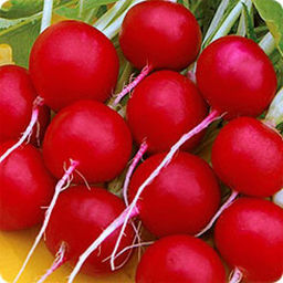6227U Редис Меркадо 1гр