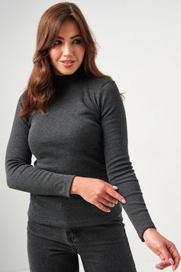 52713 Водолазка женская