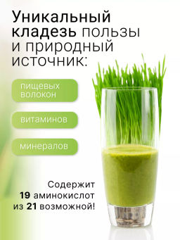 Витграсс порошок Пермиум 100г (состав: 100% порошок из сока молодых зеленых ростков пшеницы (Wheat g - Sneko Gold фото 2