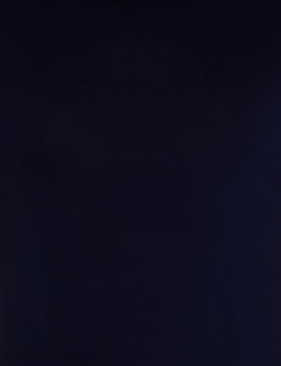 Темно-синяя облегающая базовая футболка - Cacharel фото 6