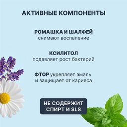 PresiDENT Ополаскиватель Classic Свежесть Трав 250мл флакон