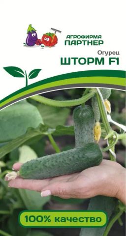 Огурец партенокарпический Шторм