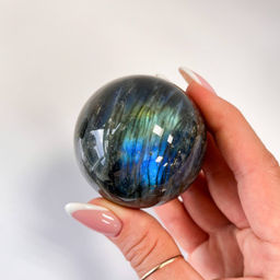 Шар из Лабрадора на подставке