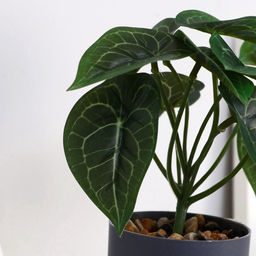 Искусственный цветок в горшке «Алоказия галант», 7.5×15 см